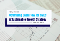 Optimizing Cash Flow for SMEs: A Sustainable Growth Strategy 
