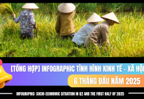 Contributing Opinions on the Draft Decree: Detailing Certain Provisions and Implementation Measures of the Data Law"