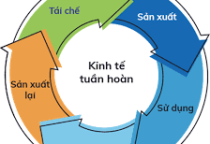 THE LEVEL OF APPLICATION OF CIRCULATORY BUSINESS IN ENTERPRISES IN VIETNAM IS STILL LOW