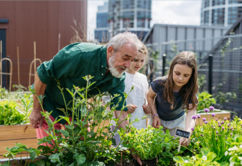 The State Bank calls for credit priority for Mekong Delta rice production and export