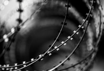 [LEGAL UPDATE DECEMBER 2024] DECREE 118/2024/ND-CP 